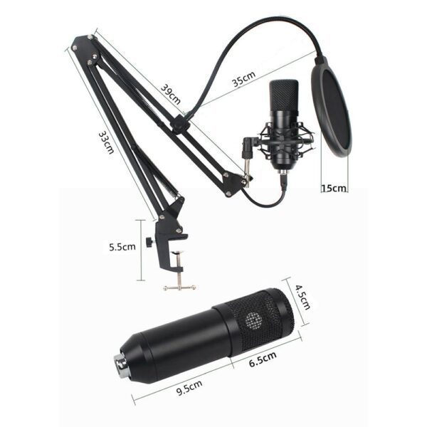 9f20787603996a1d67d7a0d1e689c156 ART condenser microphone on a boom with a diaphragm AC-03 black