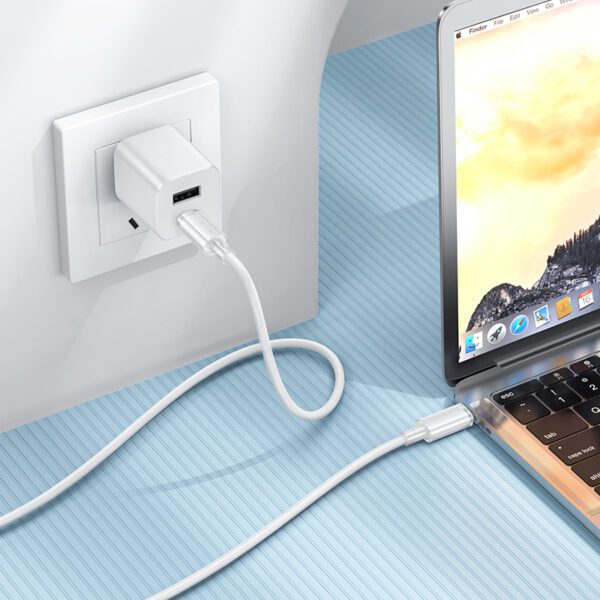 Borofone Cable BX112 Lemon - Type C to Type C - PD 60W 1 metre white