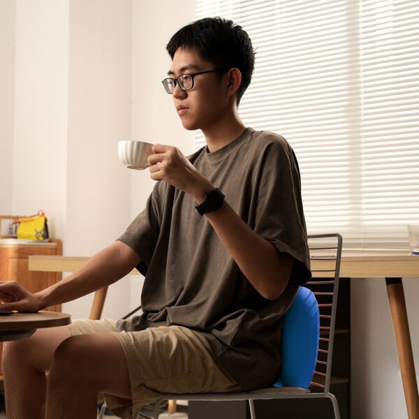 201461_6 Baseus ComfortRide car lumbar pillow - blueeng