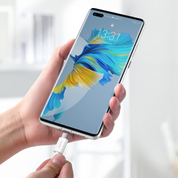 148702_7 Baseus Superior cable USB - USB Type C 66 W 6A 2 m White (CATYS-A02)eng