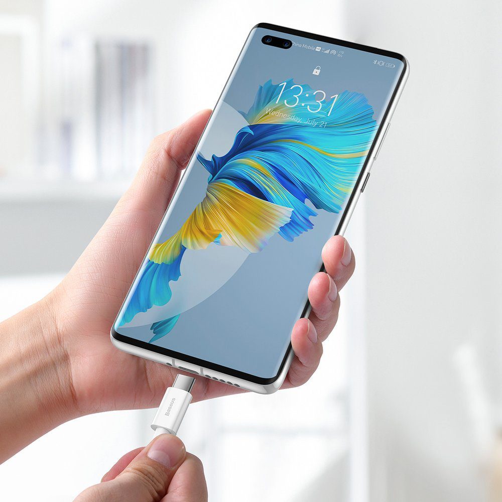 148702_7 Baseus Superior cable USB - USB Type C 66 W 6A 2 m White (CATYS-A02)eng