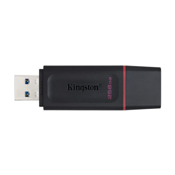 198390_oryg Kingston pendrive 256GB USB 3.2 DT Exodia