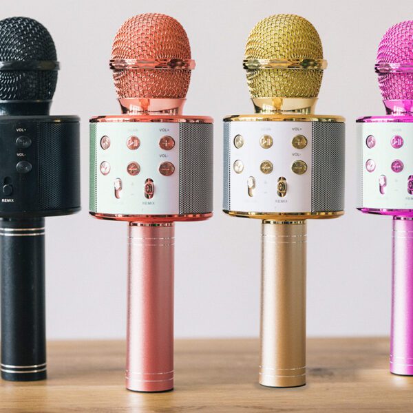 Forever Bluetooth microphone with speaker BMS-300 Lite pink