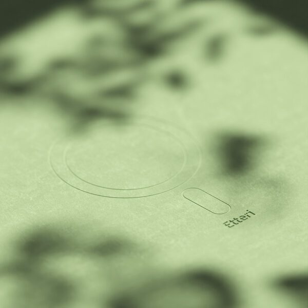 Etteri Silicone Mag case for iPhone 16 Plus 6,7" light green