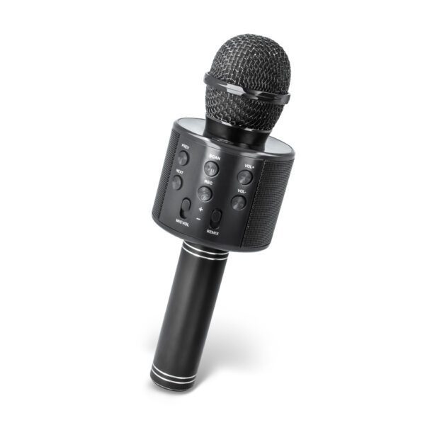 Setty Bluetooth microphone with speaker BM-100 black