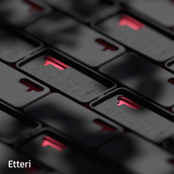 Etteri Silicone case for Samsung Galaxy S24 Plus black