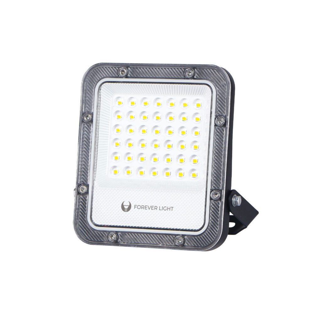 435919_oryg Floodlight LED PROXIM+ 30W 6500K 4500lm 230V IP65 Forever Light 150lm/W 5 years warranty