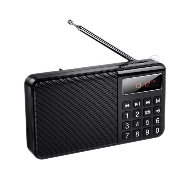 Portable radio Hoco HI50 black