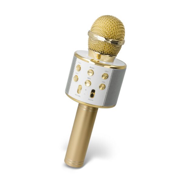 Setty Bluetooth microphone with speaker BM-100 gold