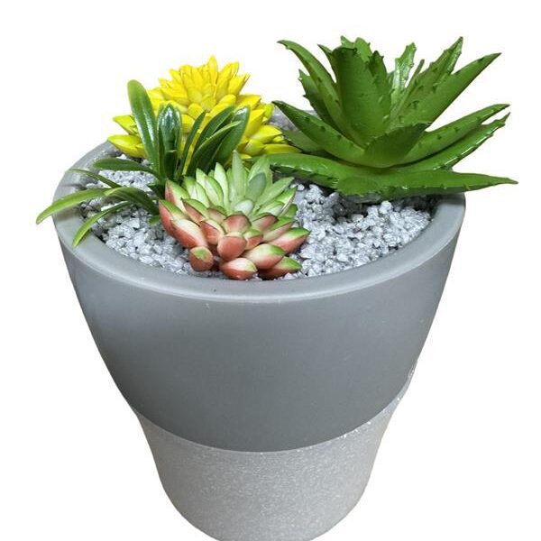 Setty humidifier NP-18 grey