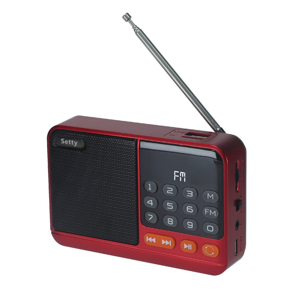 Setty mini FM radio + Bluetooth speaker SFM-01M