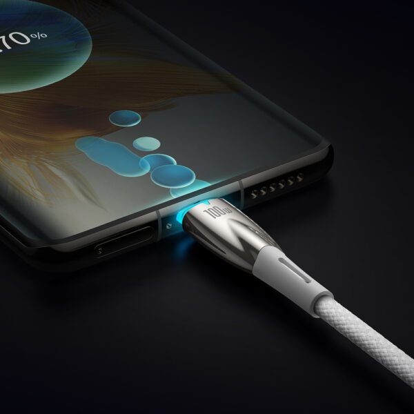 204354_8 Baseus CADH000802 USB-C - USB-C PD cable 100W 5A 480Mb/s 2m - whiteeng