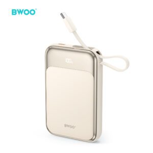 BWOO PD 20W 10000 mAh Power Bank With 2 Cables and Battery Display P80 gold