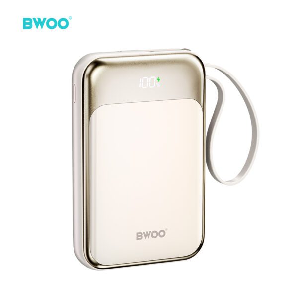 BWOO PD 20W 10000 mAh Power Bank With 2 Cables and Battery Display P80 gold