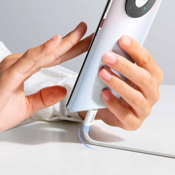 Baseus Superior Series 100W USB-A - USB-C Cable 2m - Whiteeng