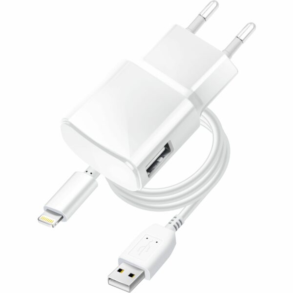 BLUE STAR travel charger 1A 5W USB A + cable USB A to Lightning TFK-TC-1100B white