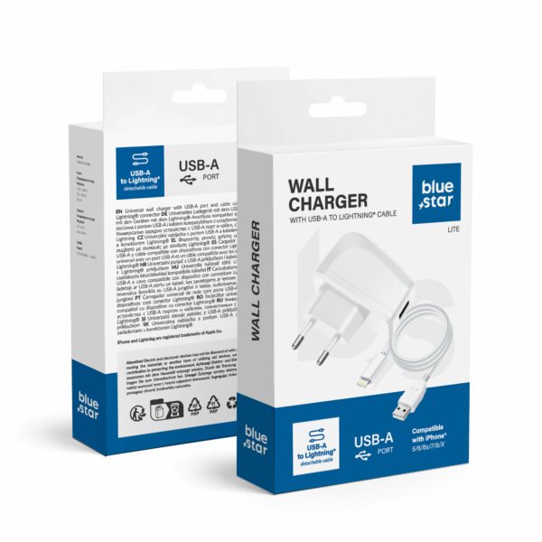 BLUE STAR LITE travel charger 1A 5W USB A + cable USB A to Lightning TFK-TC-1095B white