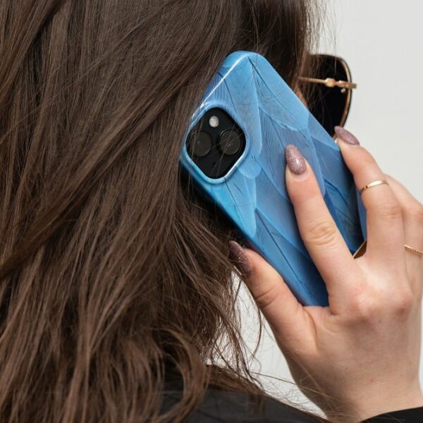 FORCELL F-PROTECT Mirage case compatible with MagSafe for IPHONE 15 Plus blue bird