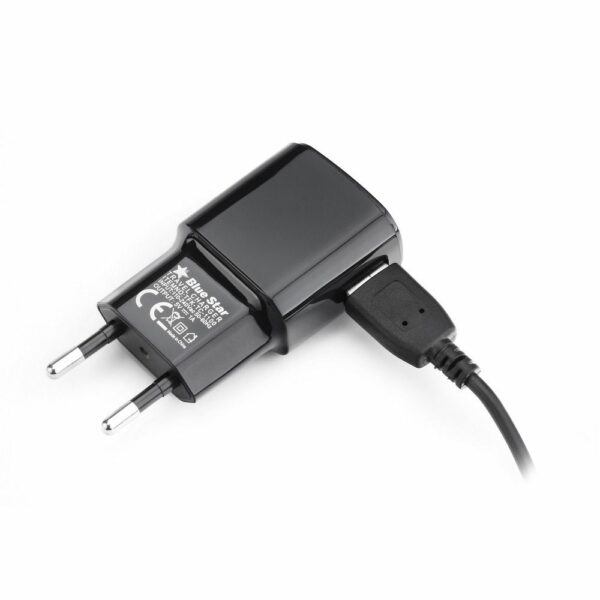 BLUE STAR travel charger 1A 5W USB A + cable USB A to Micro USB TFK-TC-1100B black