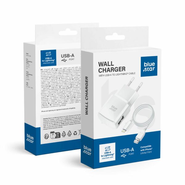 BLUE STAR travel charger 1A 5W USB A + cable USB A to Lightning TFK-TC-1100B white