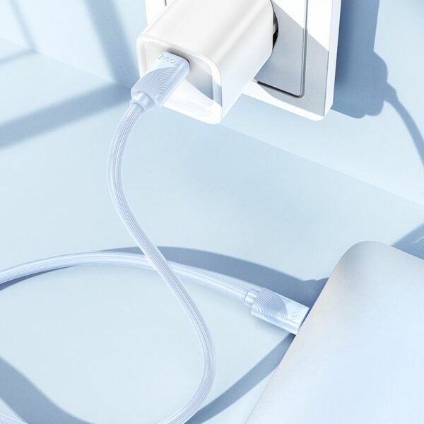 HOCO cable Type C to Type C 3A 60W X114 1 m blue