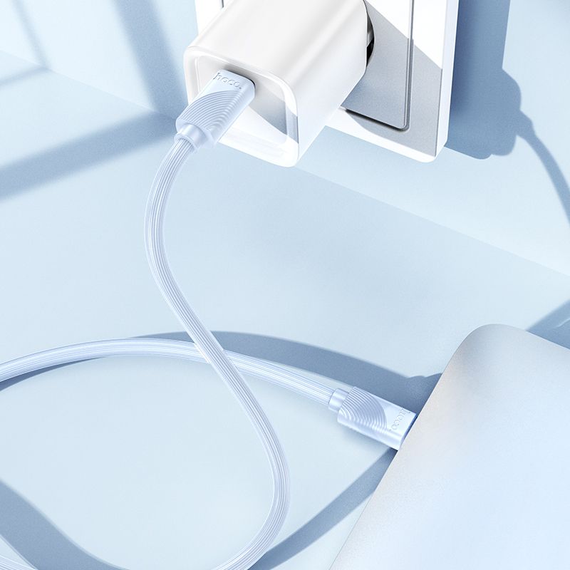 HOCO cable Type C to Type C 3A 60W X114 1 m blue