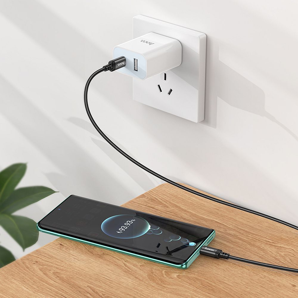 Cable USB C to USB C Hoco 3A 60W 2 m X89 black