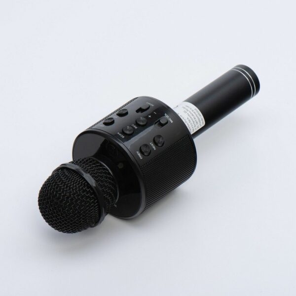 Multimedia karaoke microphone CR58S HQ black