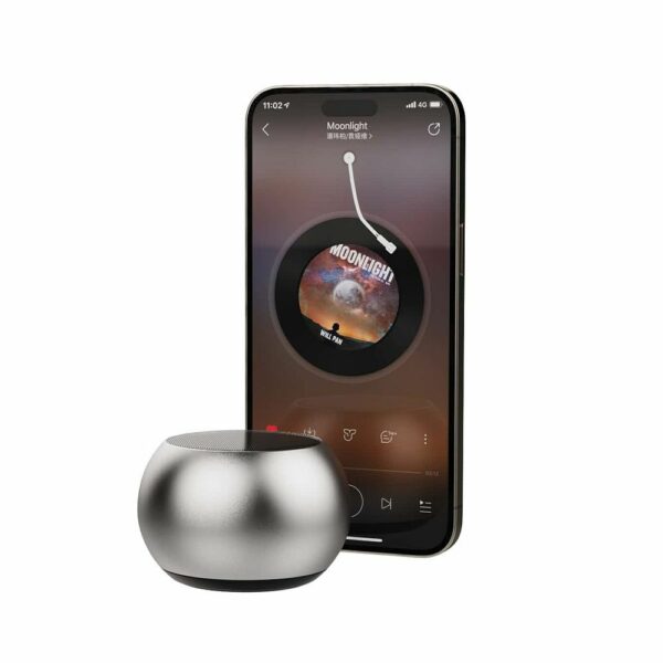 Wireless speaker DZ-017 3W silver
