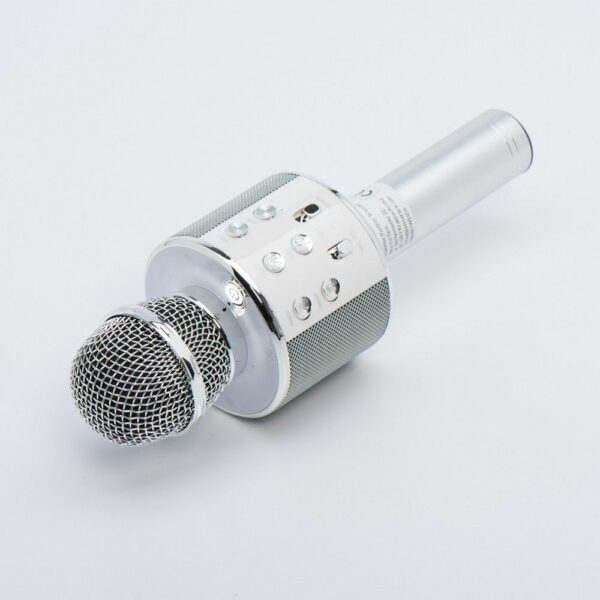 Multimedia karaoke microphone CR58S HQ silver