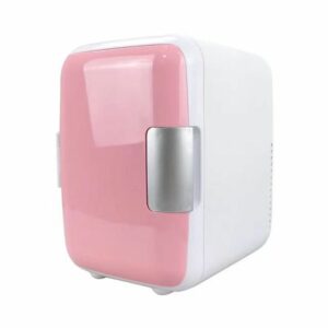 Portable travel refrigerator for car warm and cold function 12V 4L PA2-4L rose red