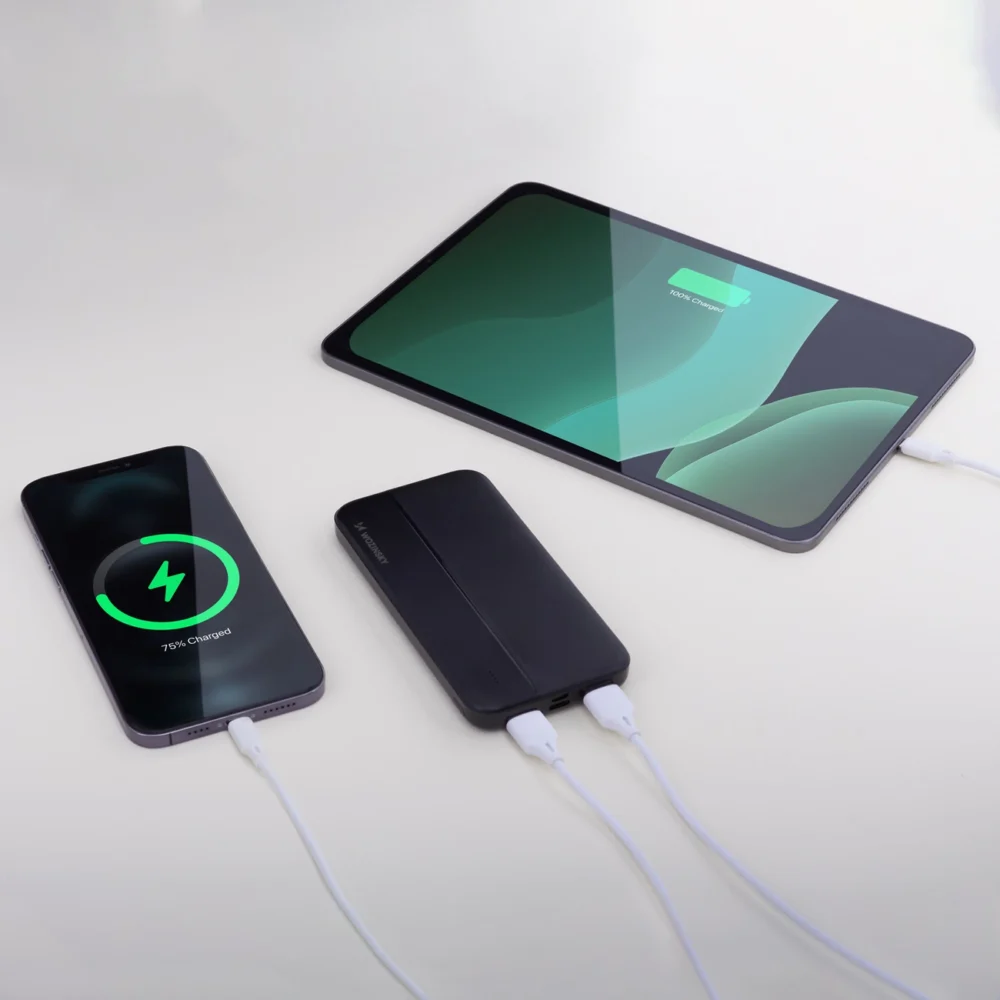 Wozinsky powerbank Li-Po 10000mAh 2 x USB black (WPBBK1)eng