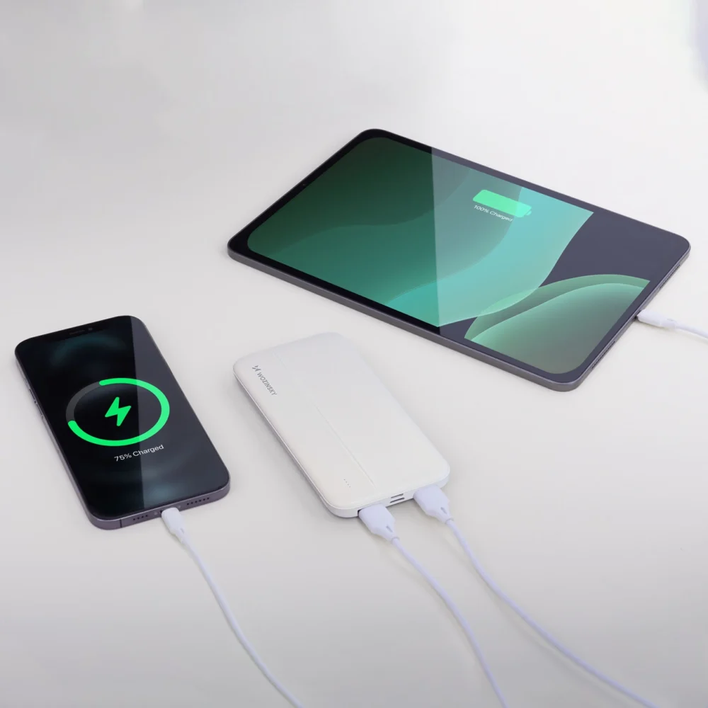 Wozinsky powerbank Li-Po 10000mAh 2 x USB white (WPBWE1)eng