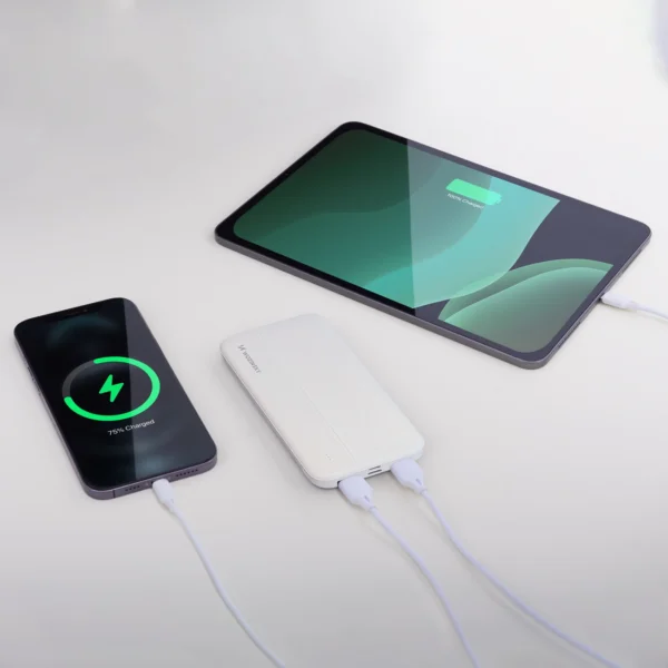 Wozinsky powerbank Li-Po 10000mAh 2 x USB white (WPBWE1)eng
