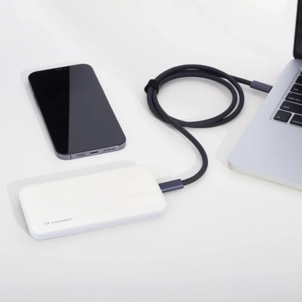 Wozinsky powerbank Li-Po 10000mAh 2 x USB white (WPBWE1)eng