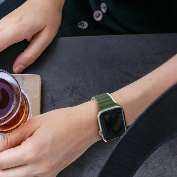 Magnetic Apple Watch SE, 9, 8, 7, 6, 5, 4, 3, 2, 1 (41, 40, 38 mm) Dux Ducis Strap (LD Version) - greeneng