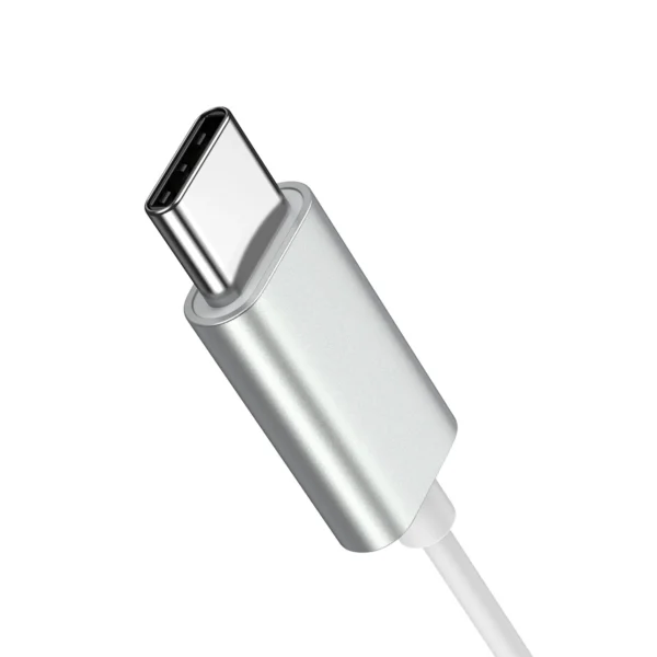 Joyroom JR-EC06 USB-C in-ear headphones - silvereng