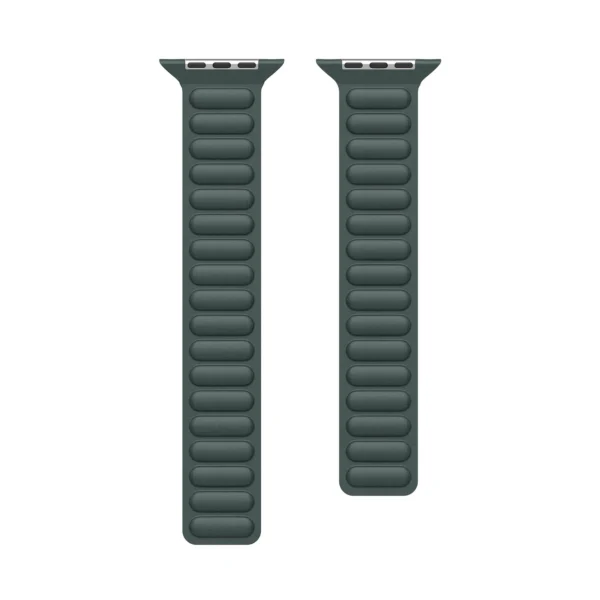 Magnetic Dux Ducis Strap BL for Apple Watch 38 / 40 / 41 mm - greeneng