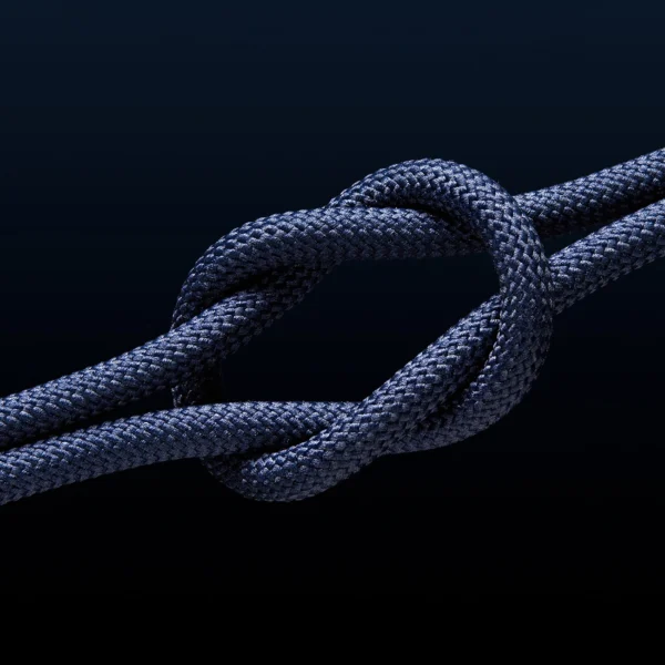 Baseus Tungsten Gold USB-C / USB-C cable 100W 1m - navy blueeng