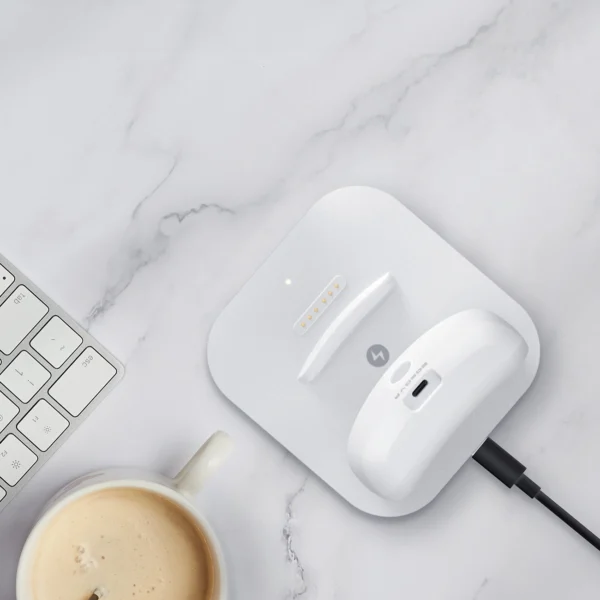 BoboVR BD2 charging station for BoboVR B2 external batteries + B2 battery - whiteeng
