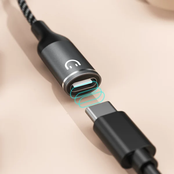 Dudao L13C+ 2in1 USB-C Adapter - Grayeng