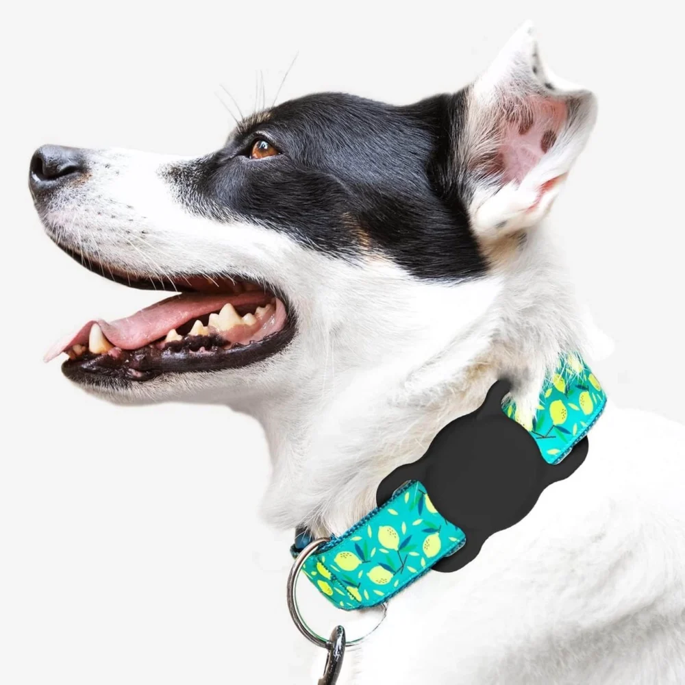 Apple AirTag Silicone Case for Dog or Cat Collar - Blackeng