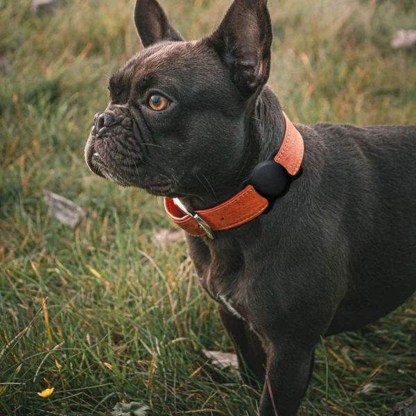 Apple AirTag Silicone Case for Dog or Cat Collar - Blackeng