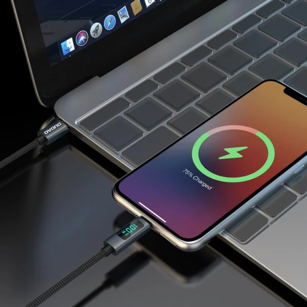 Dudao L7C USB-C - USB-C 100W Cable with LED Display 1m - Blackeng
