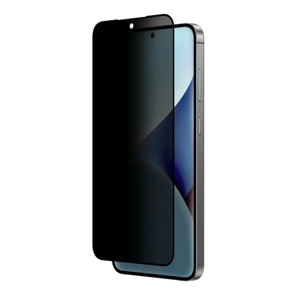 AmazingThing Radix Privacy Glass Privacy Tempered Glass for Samsung Galaxy S25eng