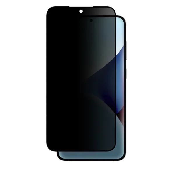 AmazingThing Radix Privacy Glass Privacy Tempered Glass for Samsung Galaxy S25+eng