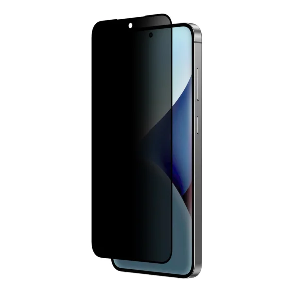 AmazingThing Radix Privacy Glass Privacy Tempered Glass for Samsung Galaxy S25+eng