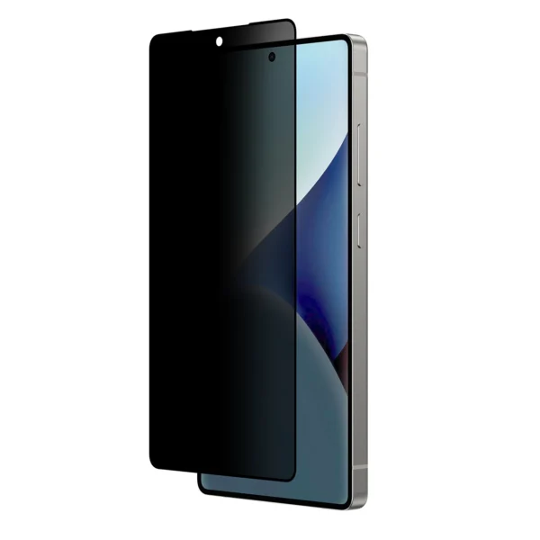 AmazingThing Radix Privacy Glass Privacy Tempered Glass for Samsung Galaxy S25 Ultraeng