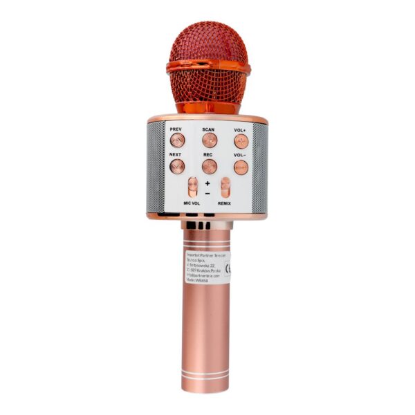 Multimedia karaoke microphone CR58 pink gold