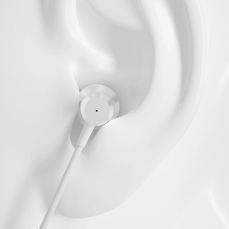 Dudao in-ear headphones headset with remote control and microphone 3.5 mm mini jack silver (X10 Pro silver)eng